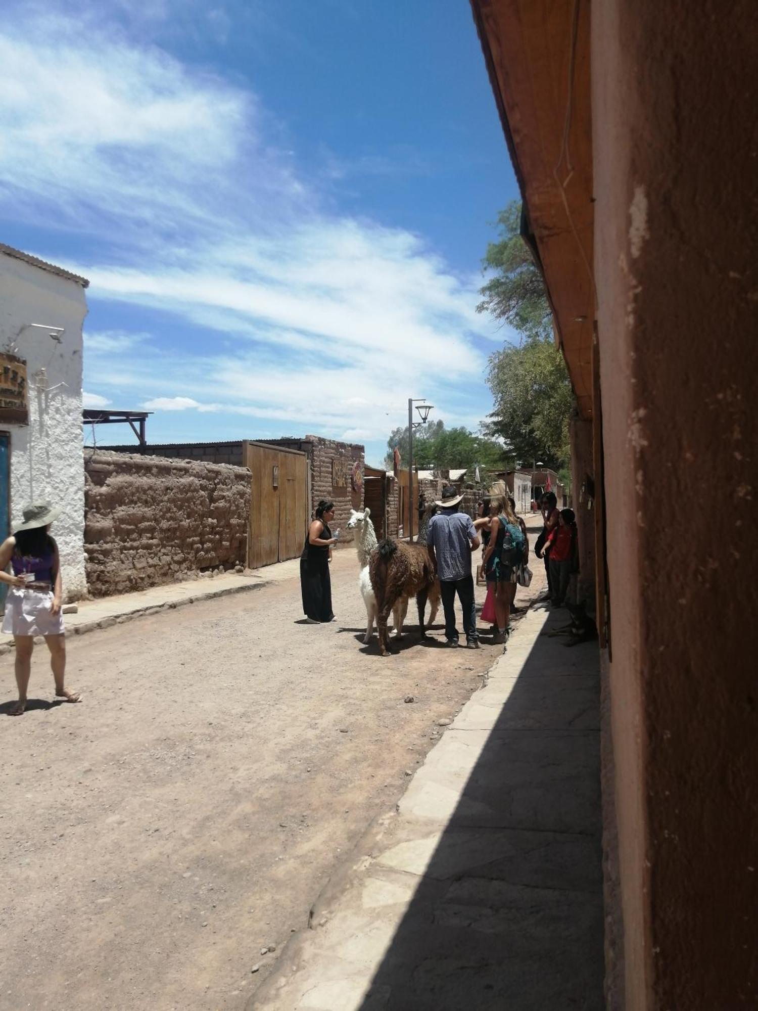 Viajes & Vida Km0 Apartment San Pedro de Atacama Exterior foto